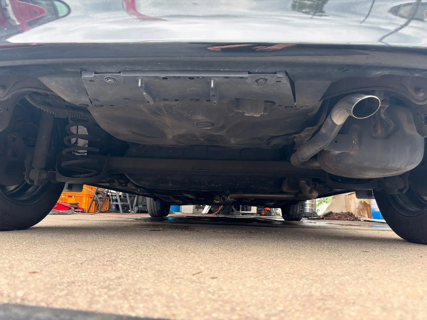 ⭐️新着在庫のご案内⭐️