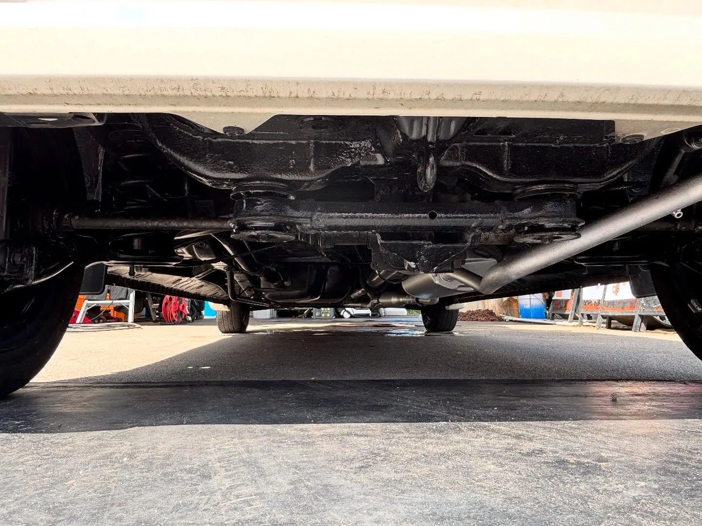 ⭐️新着在庫のご案内⭐️