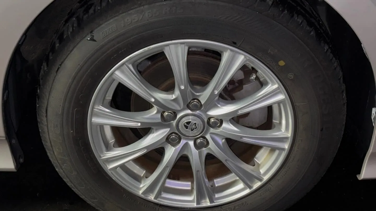 ⭐️新着在庫のご案内⭐️