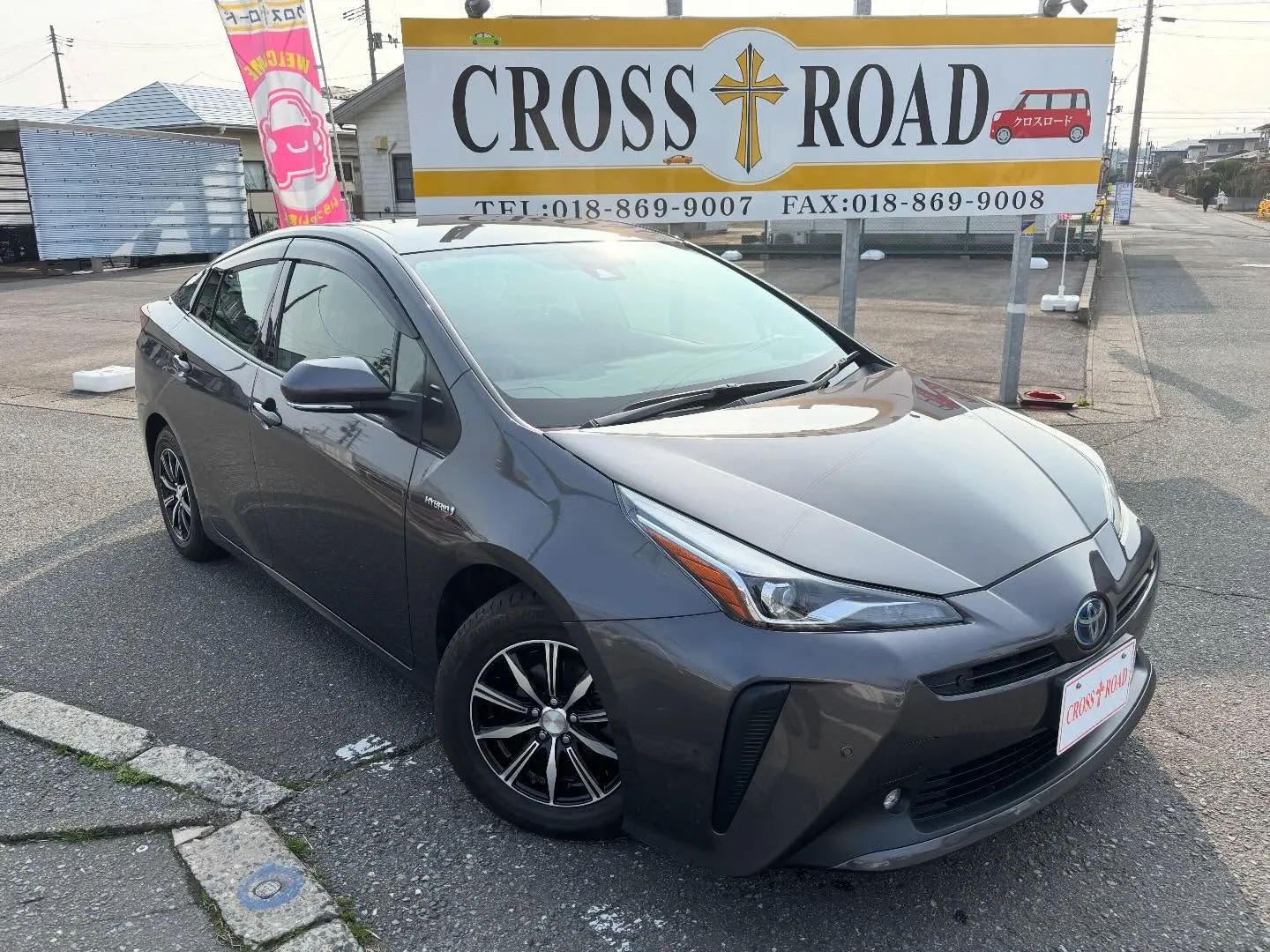 ⭐️新着在庫のご案内⭐️